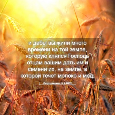 Picture 05 - Второзаконие 11:9 RUSV - и дабы вы жили много - Bible Verse Picture