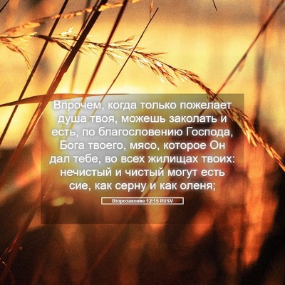 Picture 05 - Второзаконие 12:15 RUSV - Впрочем, когда только - Bible Verse Picture