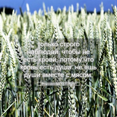 Picture 05 - Второзаконие 12:23 RUSV - только строго наблюдай, - Bible Verse Picture