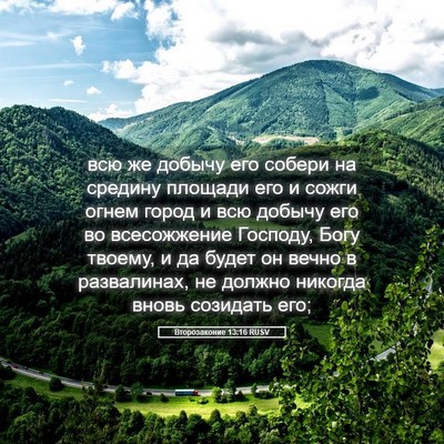 Picture 05 - Второзаконие 13:16 RUSV - всю же добычу его собери на - Bible Verse Picture