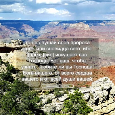 Picture 05 - Второзаконие 13:3 RUSV - то не слушай слов пророка - Bible Verse Picture