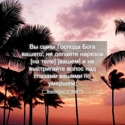 Picture 05 - Второзаконие 14:1 RUSV - Вы сыны Господа Бога - Bible Verse Picture