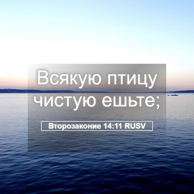 Picture 05 - Второзаконие 14:11 RUSV - Всякую птицу чистую - Bible Verse Picture
