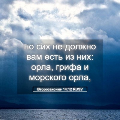 Picture 05 - Второзаконие 14:12 RUSV - но сих не должно вам есть - Bible Verse Picture