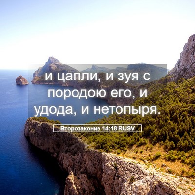 Picture 05 - Второзаконие 14:18 RUSV - и цапли, и зуя с породою - Bible Verse Picture