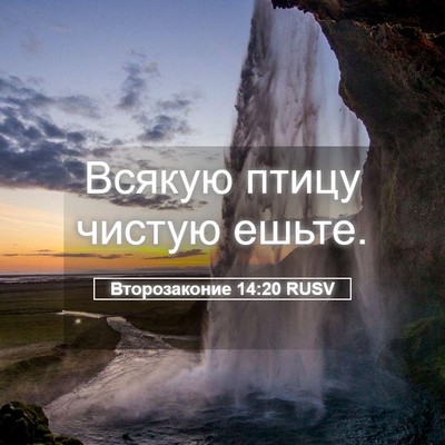 Picture 05 - Второзаконие 14:20 RUSV - Всякую птицу чистую - Bible Verse Picture