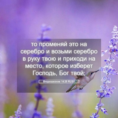 Picture 05 - Второзаконие 14:25 RUSV - то променяй это на серебро - Bible Verse Picture