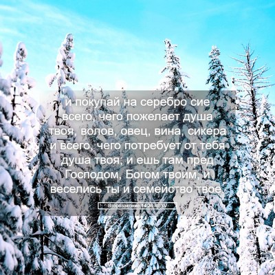 Picture 05 - Второзаконие 14:26 RUSV - и покупай на серебро сие - Bible Verse Picture