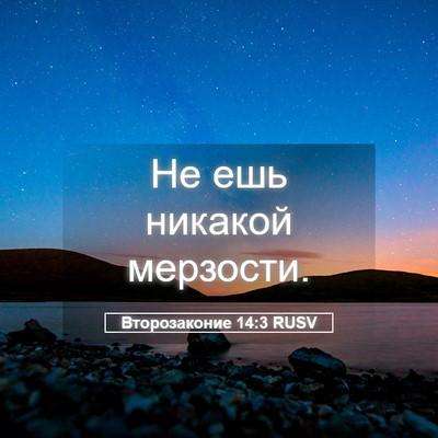 Picture 05 - Второзаконие 14:3 RUSV - Не ешь никакой - Bible Verse Picture