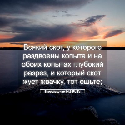 Picture 05 - Второзаконие 14:6 RUSV - Всякий скот, у которого - Bible Verse Picture