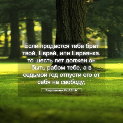 Picture 05 - Второзаконие 15:12 RUSV - Если продастся тебе брат - Bible Verse Picture