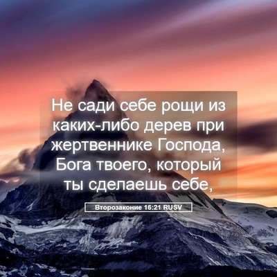 Picture 05 - Второзаконие 16:21 RUSV - Не сади себе рощи из - Bible Verse Picture