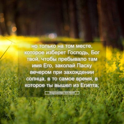 Picture 05 - Второзаконие 16:6 RUSV - но только на том месте, - Bible Verse Picture