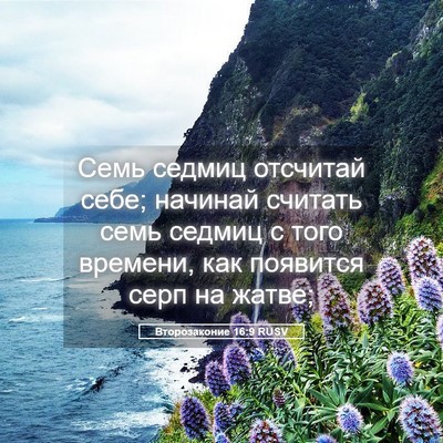 Picture 05 - Второзаконие 16:9 RUSV - Семь седмиц отсчитай себе; - Bible Verse Picture