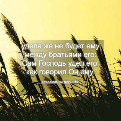 Picture 05 - Второзаконие 18:2 RUSV - удела же не будет ему между - Bible Verse Picture