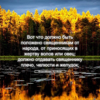 Picture 05 - Второзаконие 18:3 RUSV - Вот что должно быть - Bible Verse Picture
