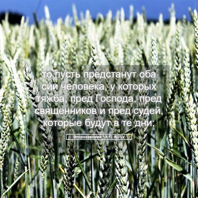 Picture 05 - Второзаконие 19:17 RUSV - то пусть предстанут оба - Bible Verse Picture