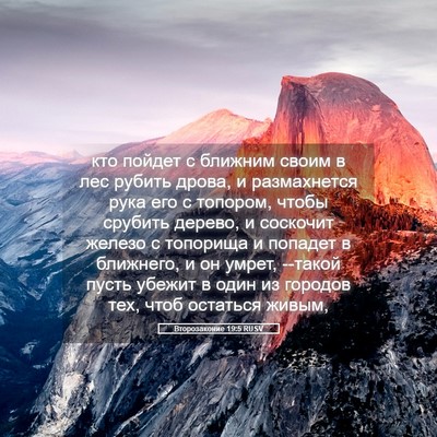 Picture 05 - Второзаконие 19:5 RUSV - кто пойдет с ближним своим - Bible Verse Picture
