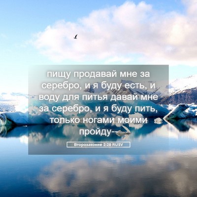 Picture 05 - Второзаконие 2:28 RUSV - пищу продавай мне за - Bible Verse Picture