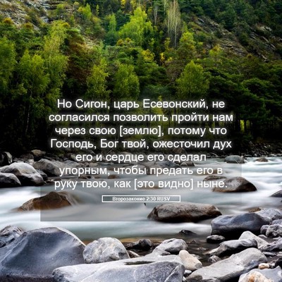 Picture 05 - Второзаконие 2:30 RUSV - Но Сигон, царь Есевонский, - Bible Verse Picture