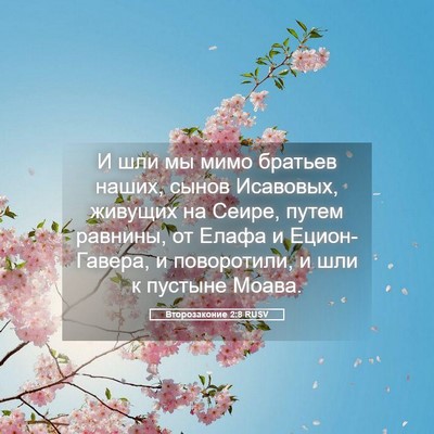 Picture 05 - Второзаконие 2:8 RUSV - И шли мы мимо братьев - Bible Verse Picture