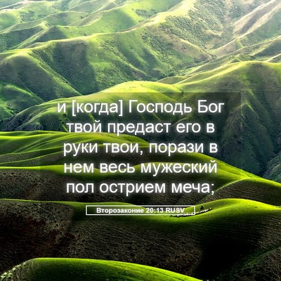 Picture 05 - Второзаконие 20:13 RUSV - и [когда] Господь Бог твой - Bible Verse Picture