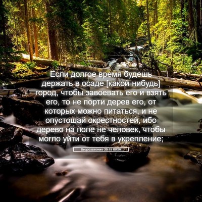 Picture 05 - Второзаконие 20:19 RUSV - Если долгое время будешь - Bible Verse Picture