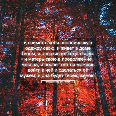 Picture 05 - Второзаконие 21:13 RUSV - и снимет с себя - Bible Verse Picture