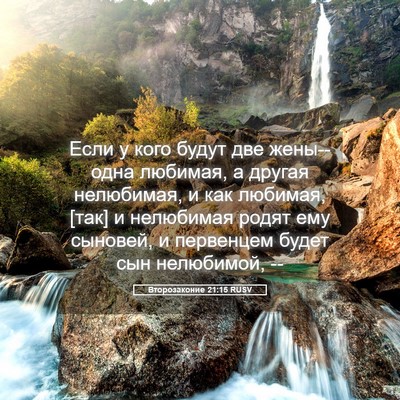 Picture 05 - Второзаконие 21:15 RUSV - Если у кого будут две - Bible Verse Picture