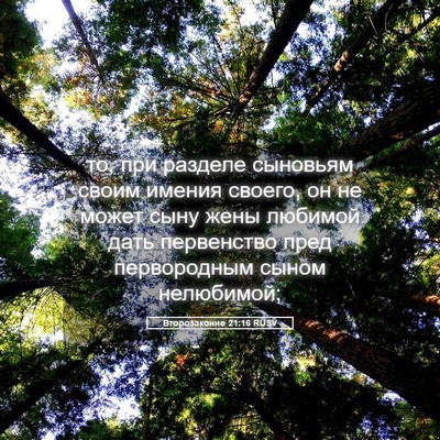 Picture 05 - Второзаконие 21:16 RUSV - то, при разделе сыновьям - Bible Verse Picture