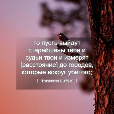 Picture 05 - Второзаконие 21:2 RUSV - то пусть выйдут старейшины - Bible Verse Picture