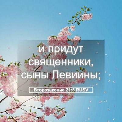 Picture 05 - Второзаконие 21:5 RUSV - и придут священники, сыны - Bible Verse Picture