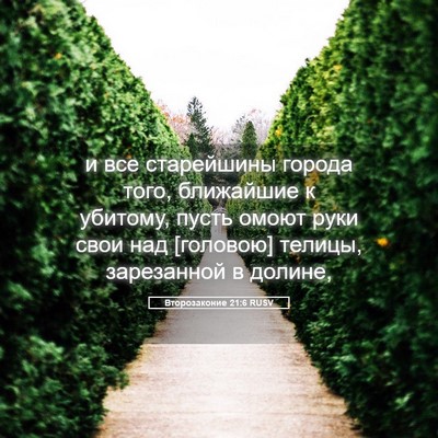 Picture 05 - Второзаконие 21:6 RUSV - и все старейшины города - Bible Verse Picture