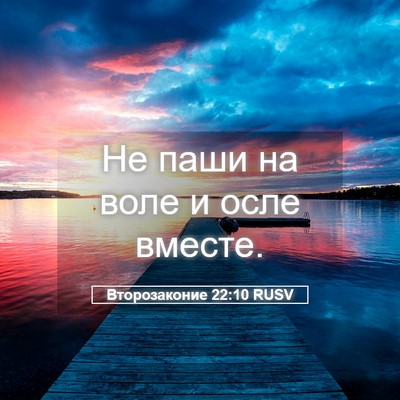 Picture 05 - Второзаконие 22:10 RUSV - Не паши на воле и осле - Bible Verse Picture