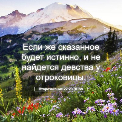 Picture 05 - Второзаконие 22:20 RUSV - Если же сказанное будет - Bible Verse Picture