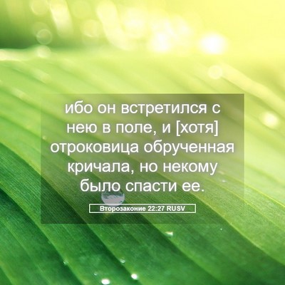 Picture 05 - Второзаконие 22:27 RUSV - ибо он встретился с нею в - Bible Verse Picture