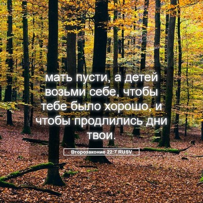 Picture 05 - Второзаконие 22:7 RUSV - мать пусти, а детей возьми - Bible Verse Picture