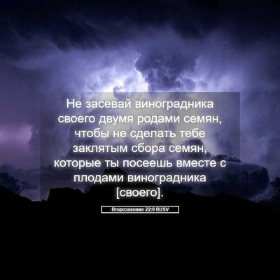 Picture 05 - Второзаконие 22:9 RUSV - Не засевай виноградника - Bible Verse Picture