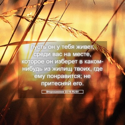 Picture 05 - Второзаконие 23:16 RUSV - пусть он у тебя живет, - Bible Verse Picture