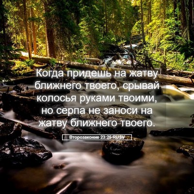 Picture 05 - Второзаконие 23:25 RUSV - Когда придешь на жатву - Bible Verse Picture