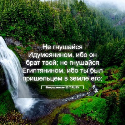 Picture 05 - Второзаконие 23:7 RUSV - Не гнушайся Идумеянином, - Bible Verse Picture