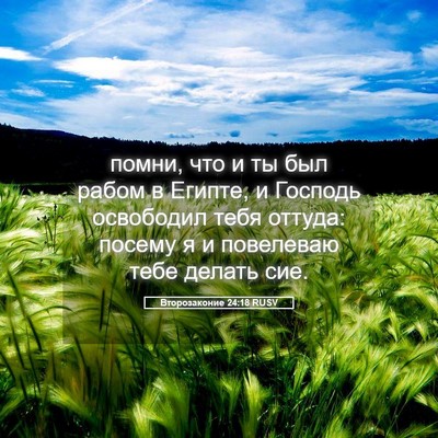 Picture 05 - Второзаконие 24:18 RUSV - помни, что и ты был рабом в - Bible Verse Picture