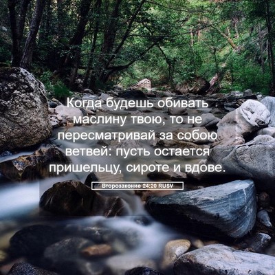 Picture 05 - Второзаконие 24:20 RUSV - Когда будешь обивать - Bible Verse Picture