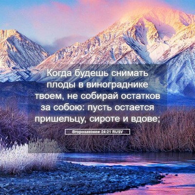 Picture 05 - Второзаконие 24:21 RUSV - Когда будешь снимать плоды - Bible Verse Picture