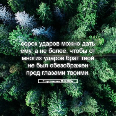 Picture 05 - Второзаконие 25:3 RUSV - сорок ударов можно дать - Bible Verse Picture