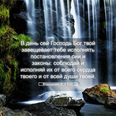 Picture 05 - Второзаконие 26:16 RUSV - В день сей Господь Бог твой - Bible Verse Picture