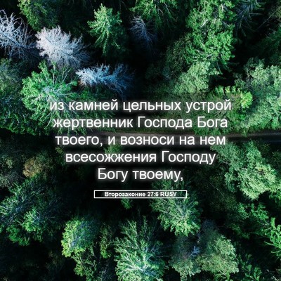 Picture 05 - Второзаконие 27:6 RUSV - из камней цельных устрой - Bible Verse Picture