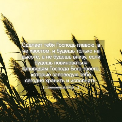 Picture 05 - Второзаконие 28:13 RUSV - Сделает тебя Господь - Bible Verse Picture