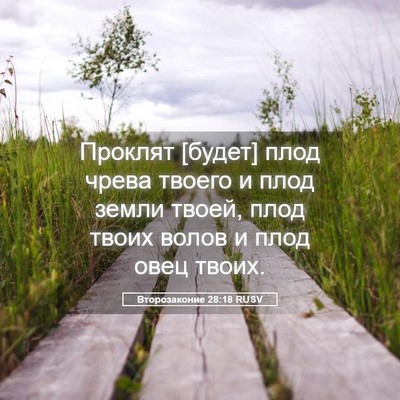Picture 05 - Второзаконие 28:18 RUSV - Проклят [будет] плод чрева - Bible Verse Picture