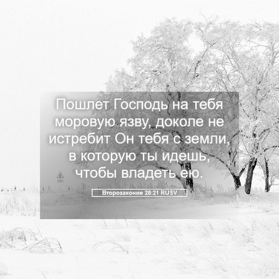 Picture 05 - Второзаконие 28:21 RUSV - Пошлет Господь на тебя - Bible Verse Picture